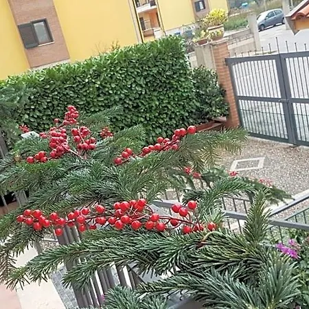 Rossella Bed and Breakfast Montoro Inferiore