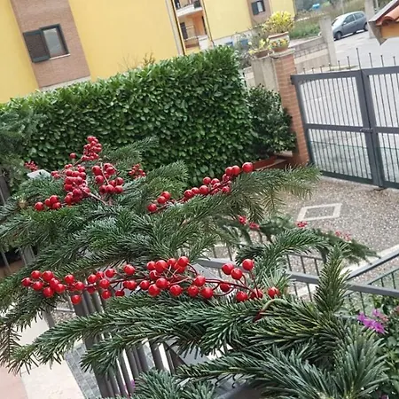 B&B Rossella