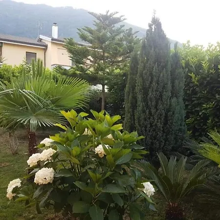 Rossella 3*