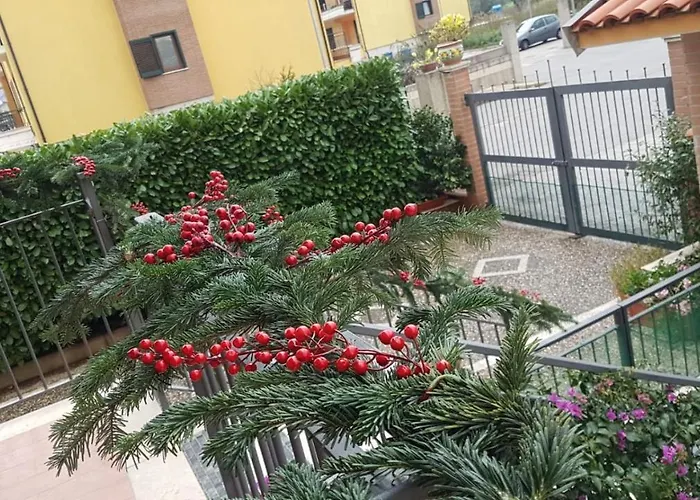 B&B Rossella