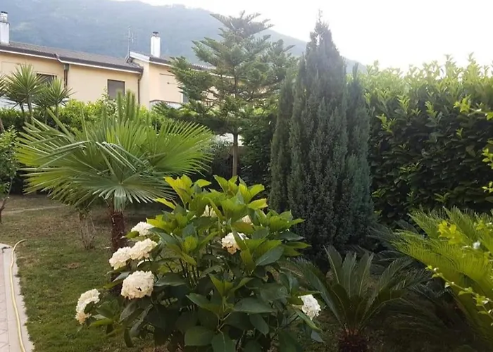 Rossella 3*